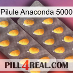 Anaconda 5000 Pill cialis2
